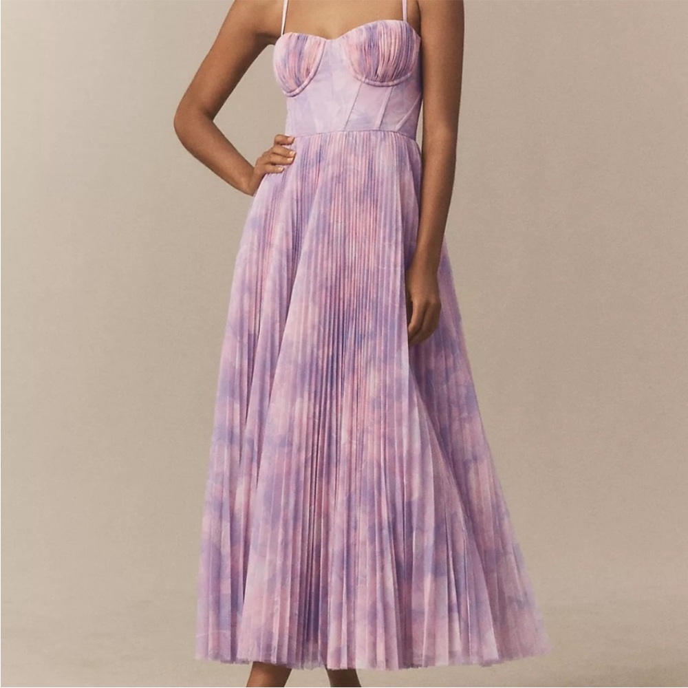 Hutch Amara Corset Pleated Tulle Fit & Flare Midi Dress